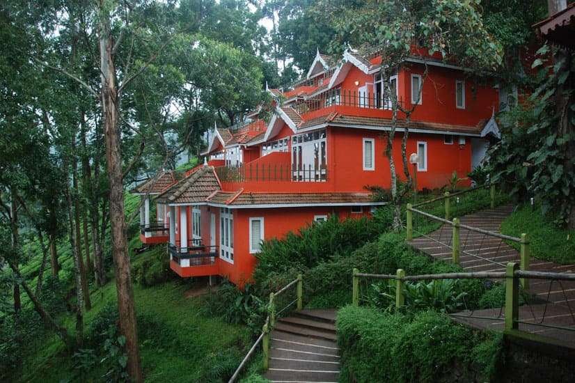 TEA VALLEY RESORT
