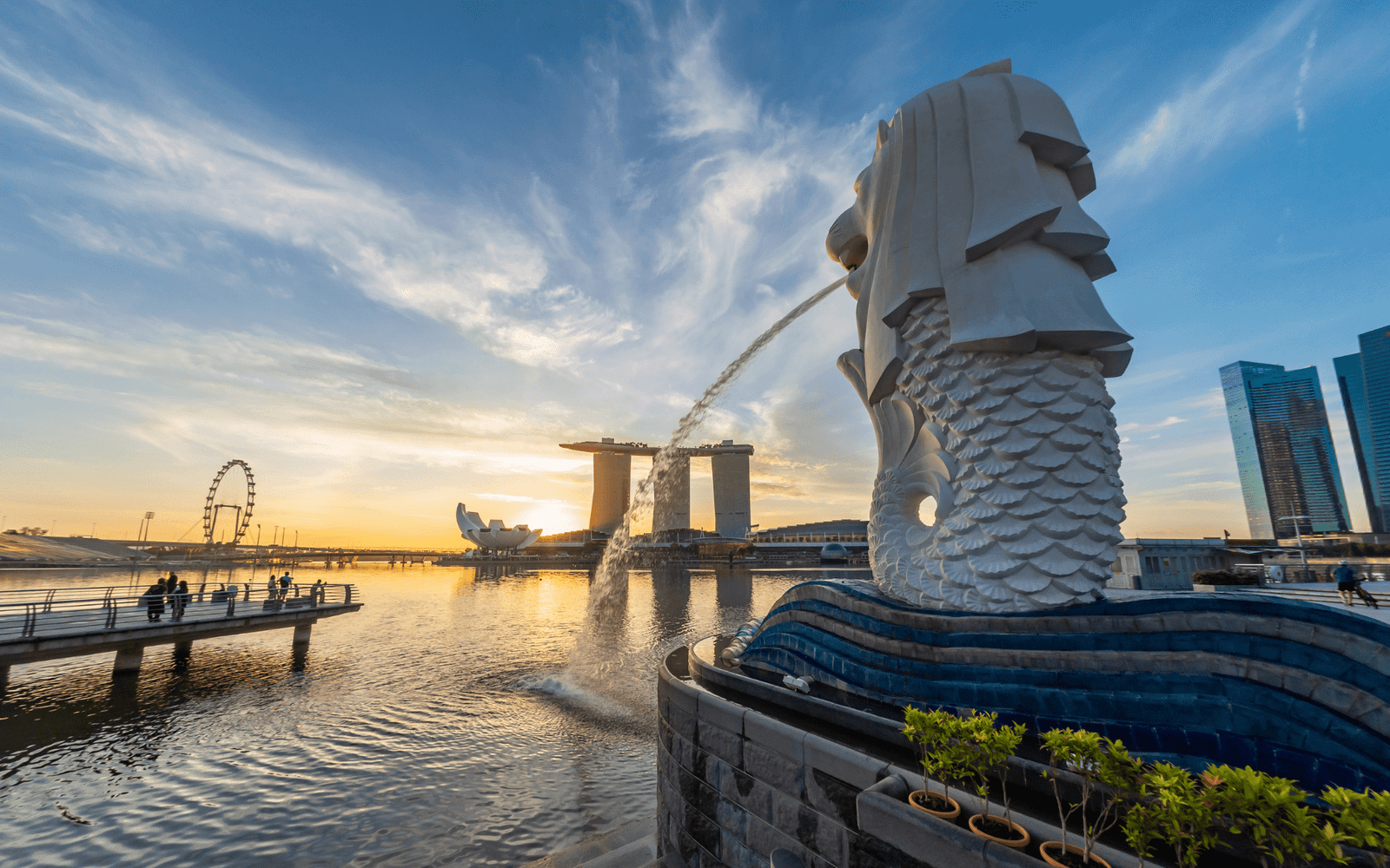 Singapore Packages-min