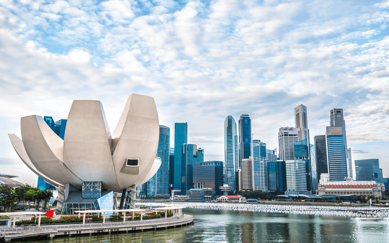 Singapore Taur-min